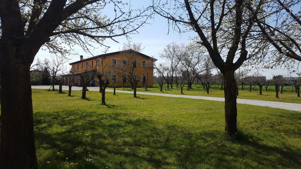 Agriturismo Borgo Borromeo Rubano Exterior photo